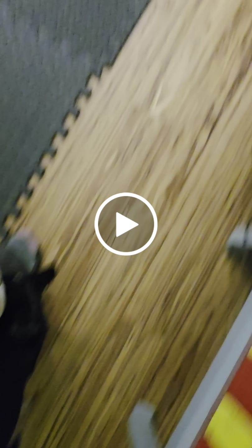 Customer video review of Earthbones Dental Chews For Dogs