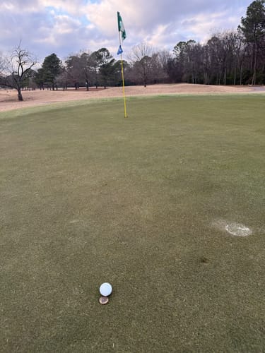 Customer photo review of 🍺 Kraken Lager Golf Ball Marker
