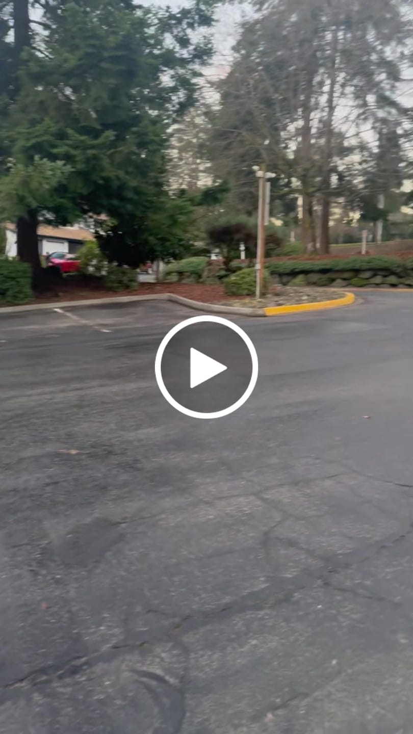 Customer video review of Ausom L2 Max Dual Motor E-scooter