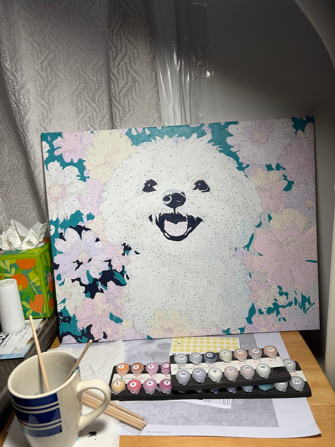 Customer photo review of Bichon Frise