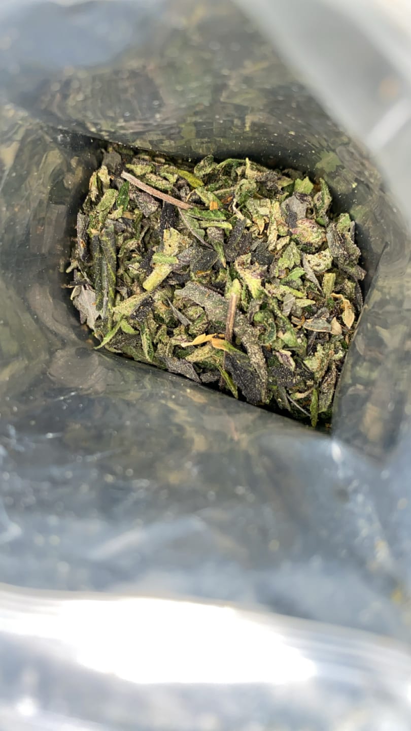 Customer photo review of Exotic THCa Shake