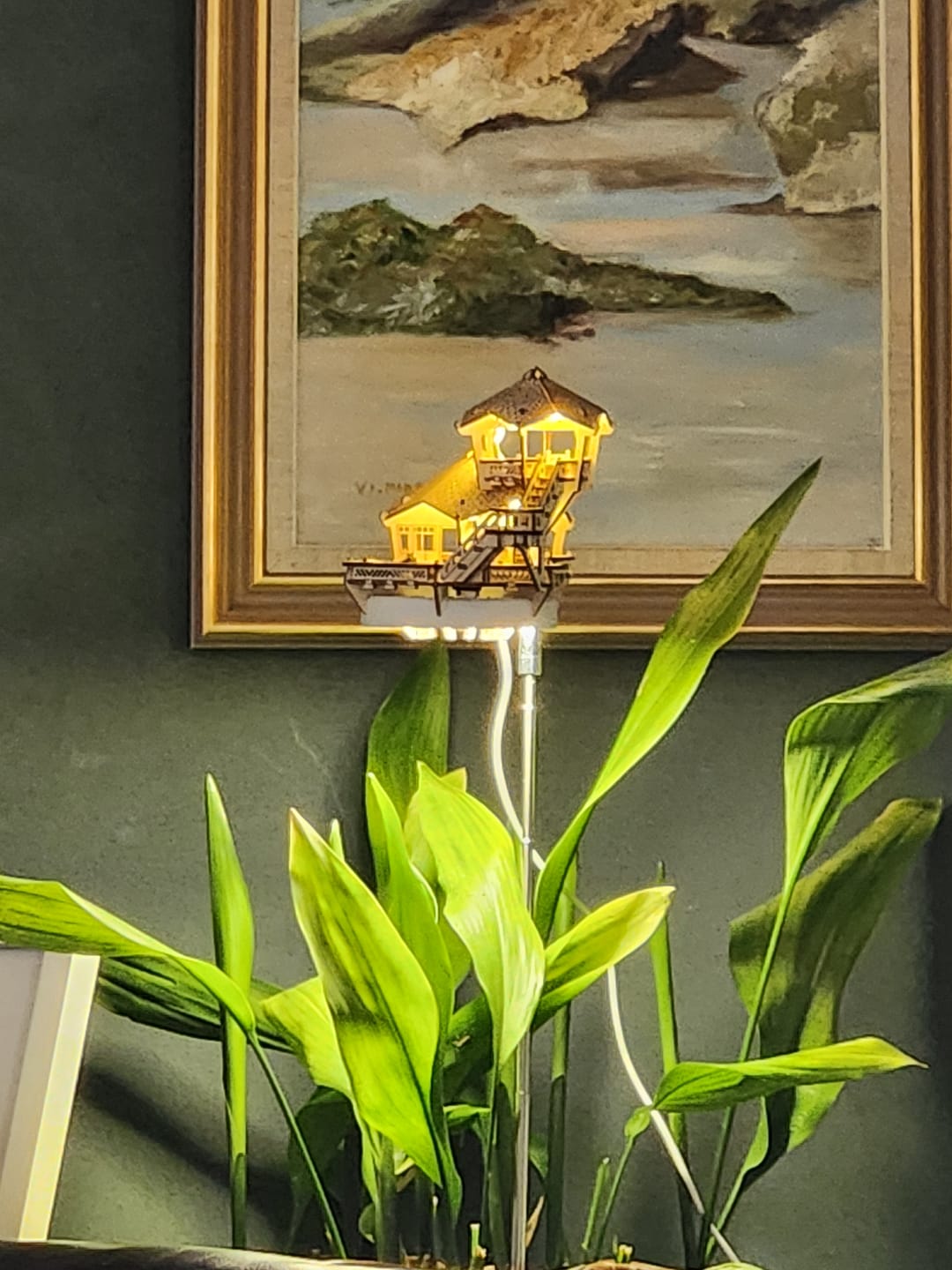 Customer photo review of Island Cabana + Grow Light