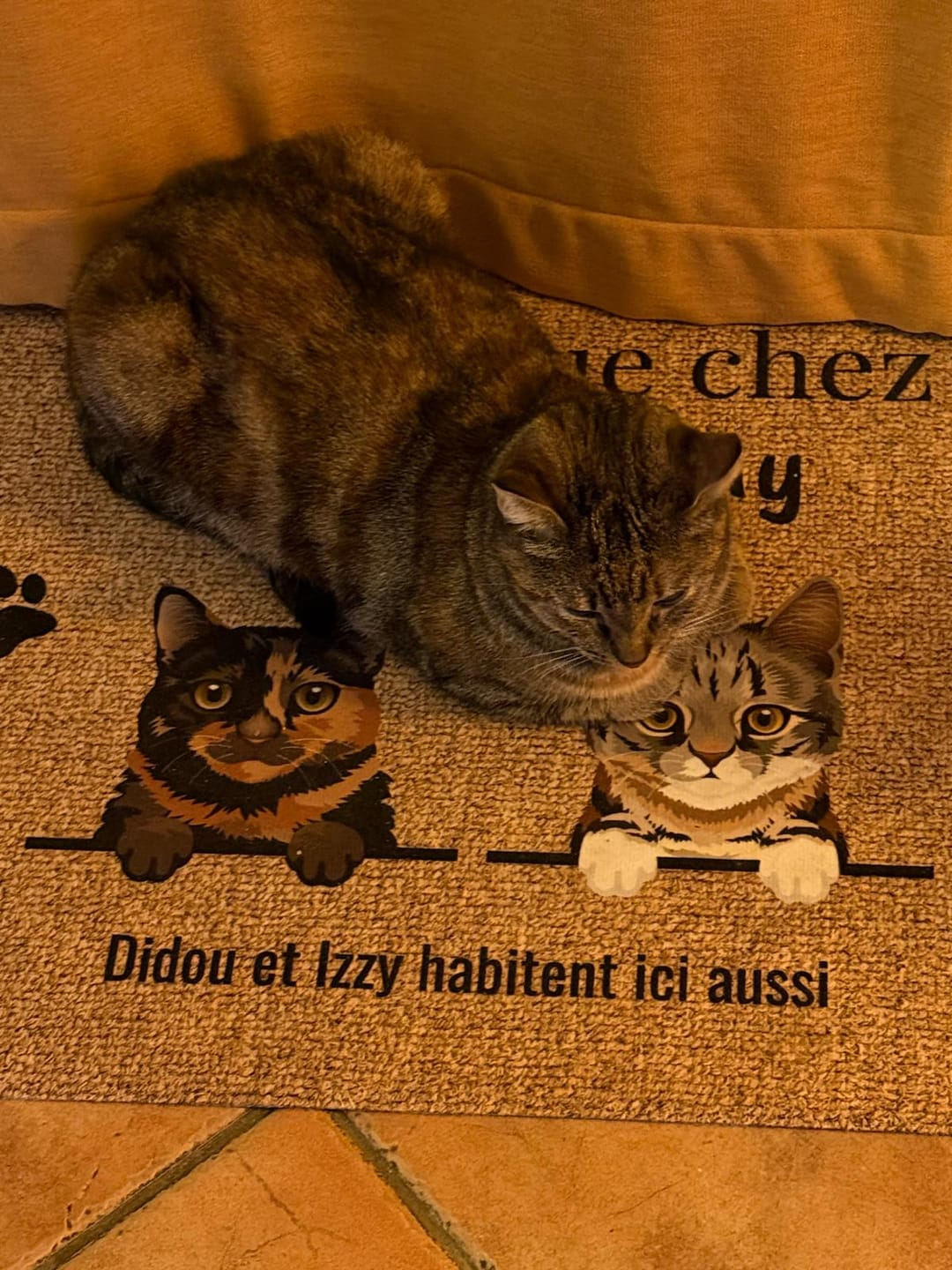 Customer photo review of Bienvenue chez - Paillasson personnalisé