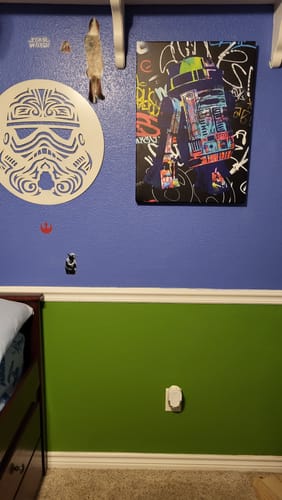 Customer photo review of R2-D2 Graffiti Canvas Set