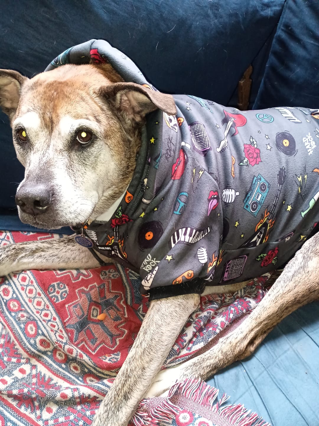 Customer photo review of Rock and Roll Dog Hoodie