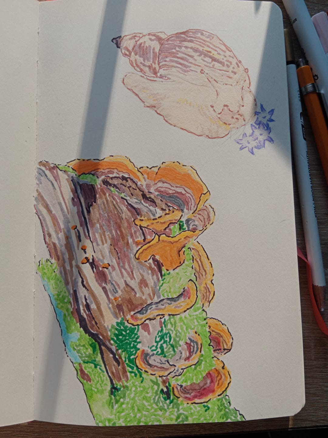 Customer photo review of Ohuhu Pupe Paper-friendly (No Peeling) Brush and Fineliner Dual Tips 60 Colors Water-based Coloring Markers