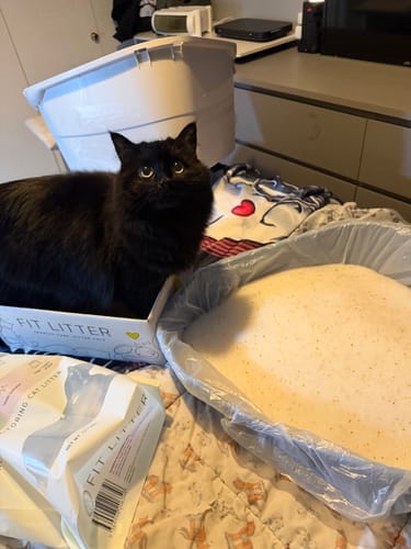 Customer photo review of 1 Month Supply – 1 Cat
