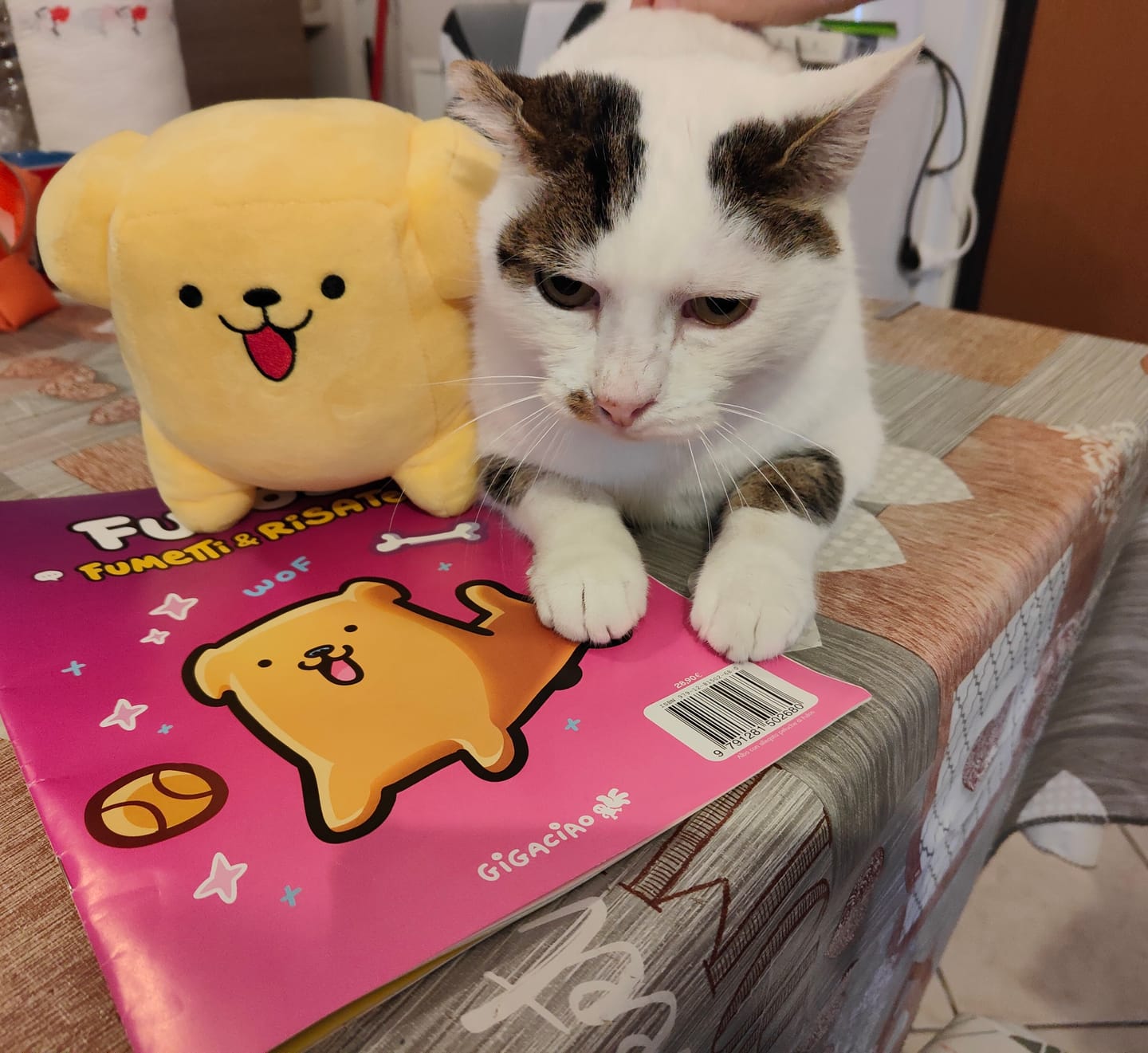 Customer photo review of Peluche Fufos + Albo Fumetti e Risate!