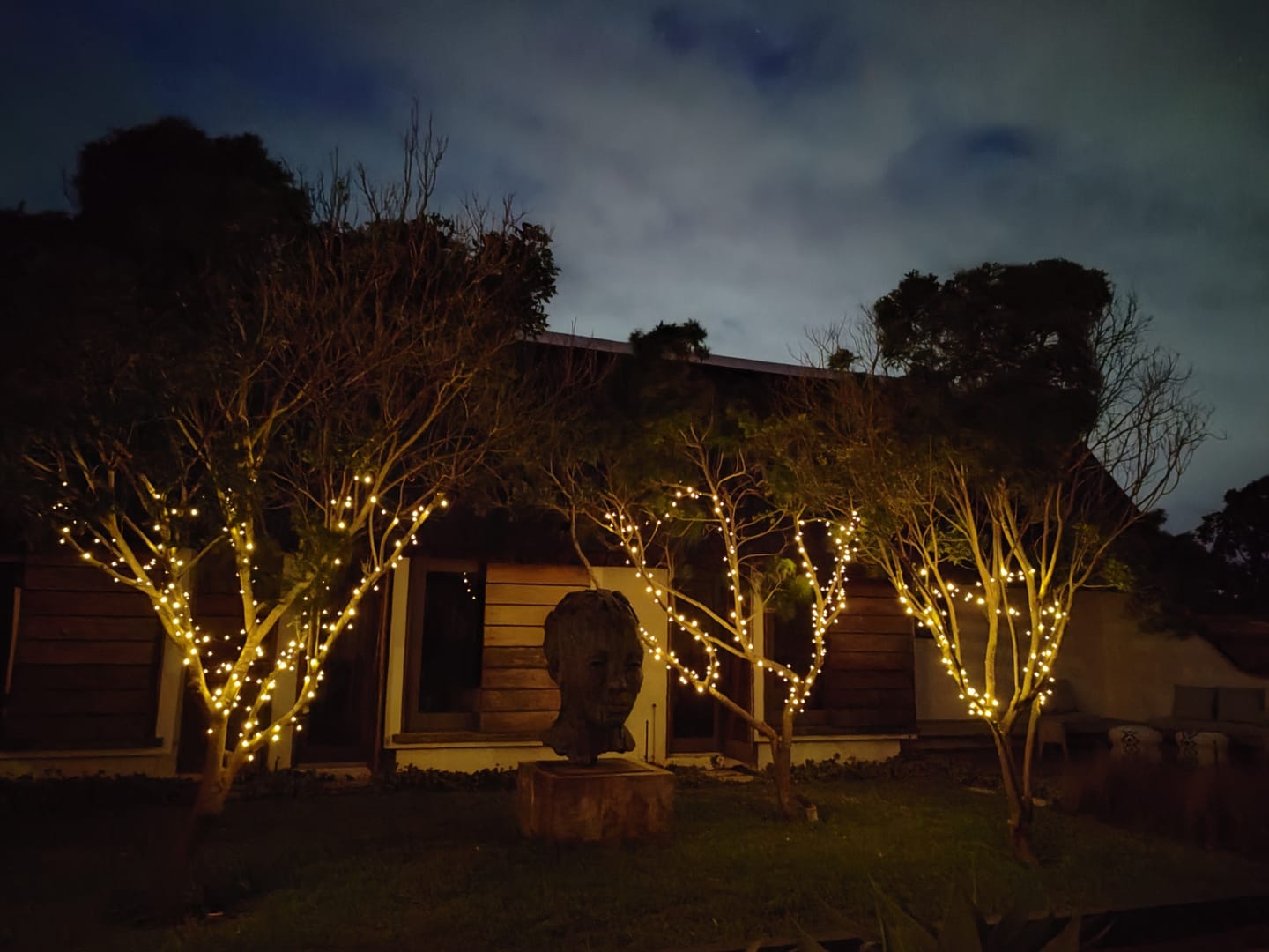 Customer photo review of Black String Solar Fairy Lights