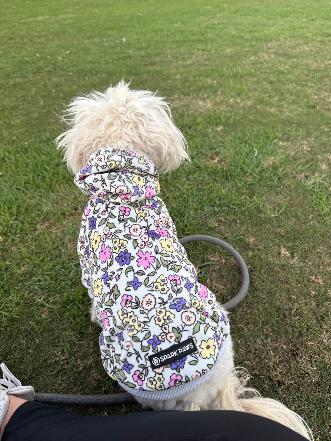 Customer photo review of Vintage Flower Dog Hoodie - Light Grey