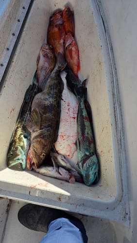 Customer photo review of Fisherman's Life® Vertical Jigs 100g, 150g, 200g, 300g FOUR COLORS available