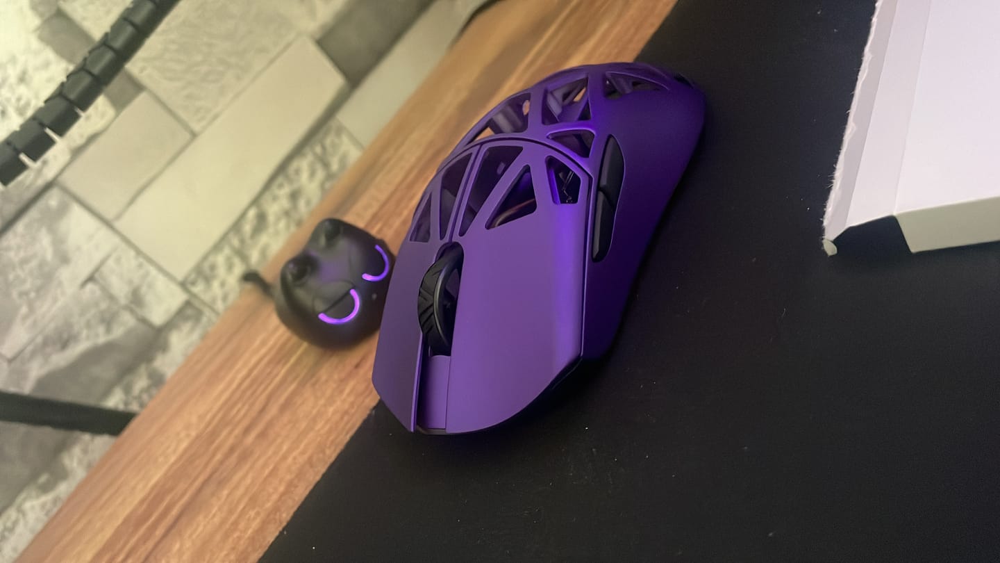 Customer photo review of WLMouse Beast X Pro Magnezyum Wireless Mouse