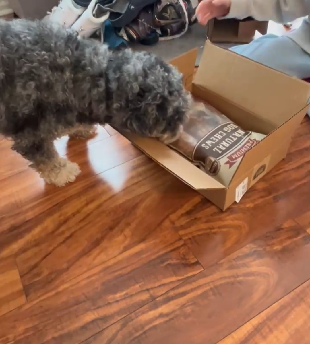 Customer photo review of Starter Pack