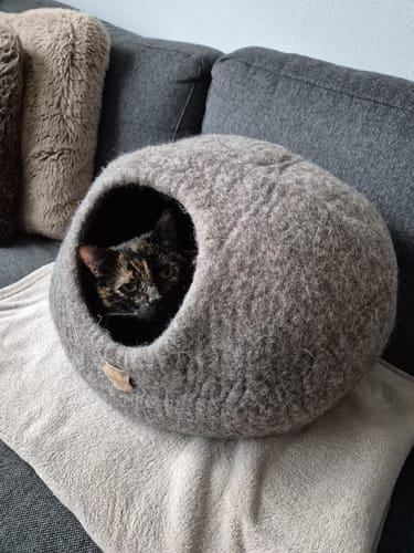 Customer photo review of Premium