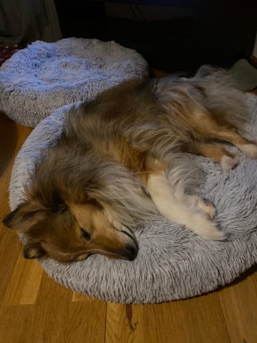 Customer photo review of CalmBed - Motverkar stress & hjälper mot ångest