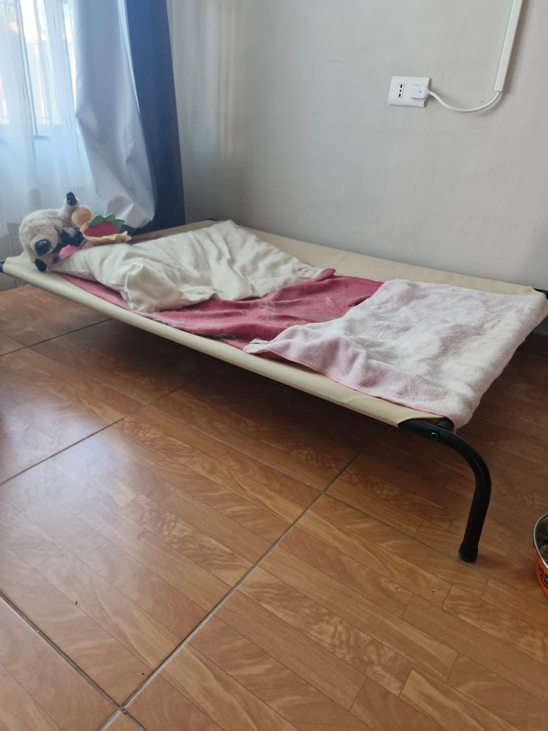 Customer photo review of Cama Elevada THE DOGS: Frescura y Ventilación