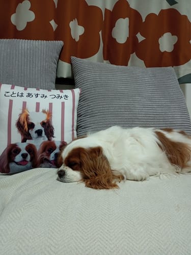 Customer photo review of オーダーメイド クッション