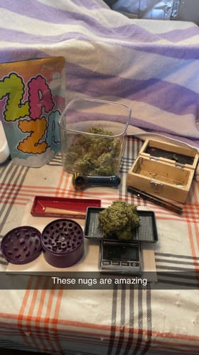 Customer photo review of Blue Dream - 28 Grams - Sativa