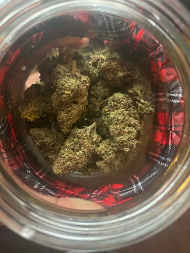 Customer photo review of Cheap THCA Flower Ounce
