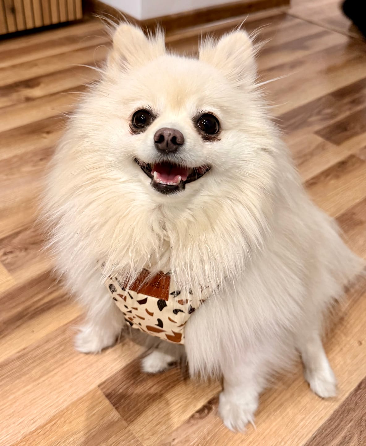 Customer photo review of Szelki bezuciskowe "Beige Terrazzo" - złote okucia