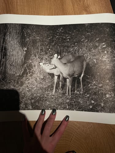 Customer photo review of Hahnemühle Photo Rag® Satin