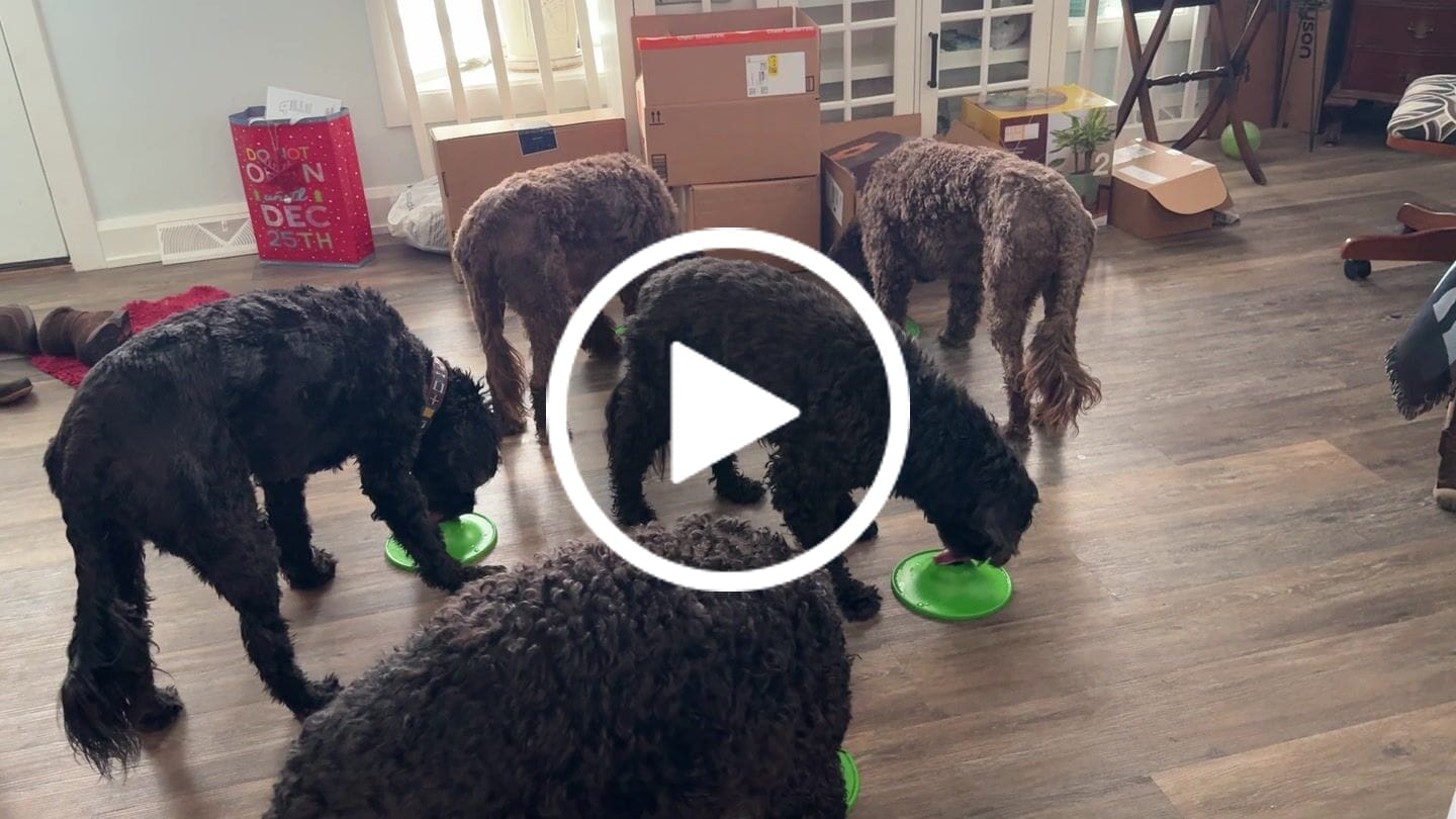 Customer video review of Soothing Saucer