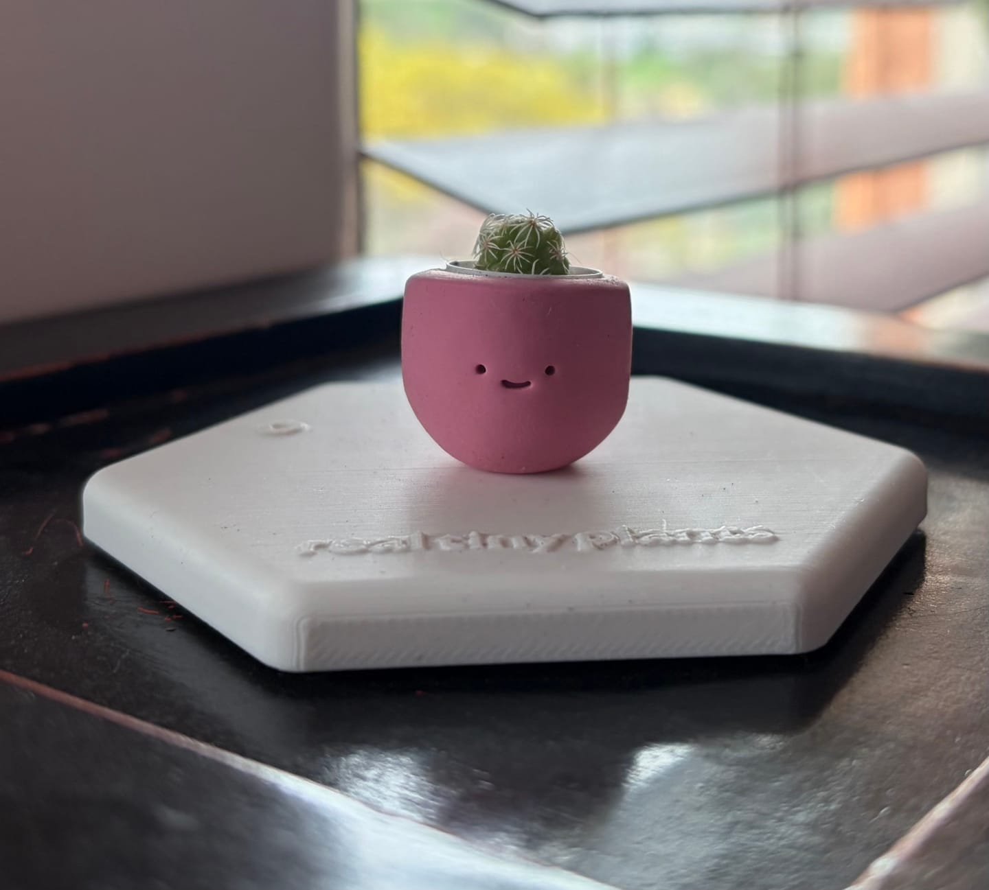Customer photo review of LOL