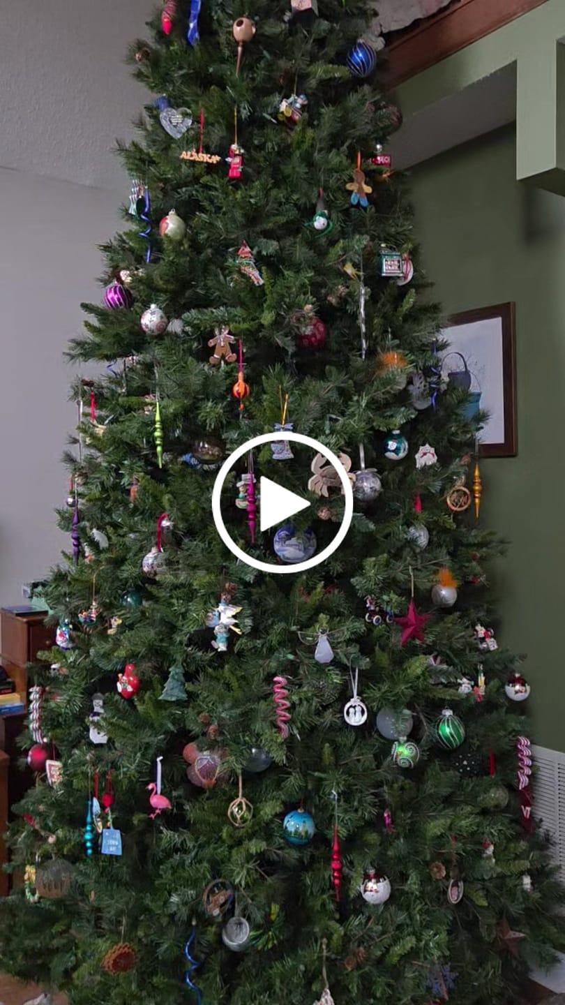 Customer video review of Baking Mixer - Personalized Acrylic Ornament, Christmas Gift For Bakers, Cooking Lovers