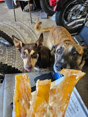 Customer photo review of Beef Paddywack