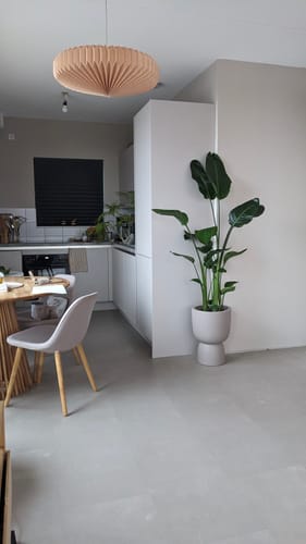 Recensent toont de beige Elho Amber Coupe 35 pot met een grote plant in een moderne woonkamer.