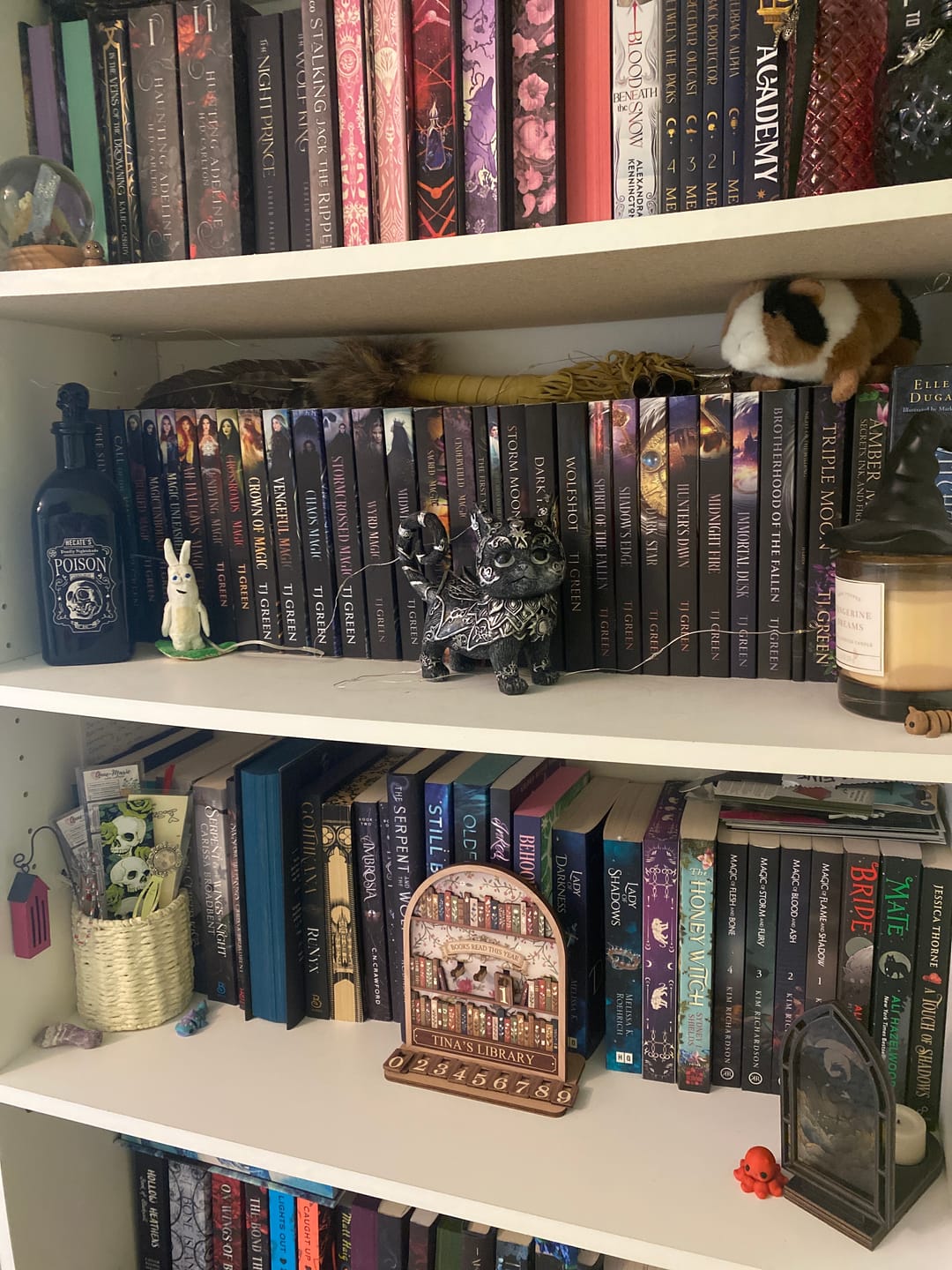 Customer photo review of Cinderveiled Magic: White Haven Witches Book 14 (PAPERBACK)