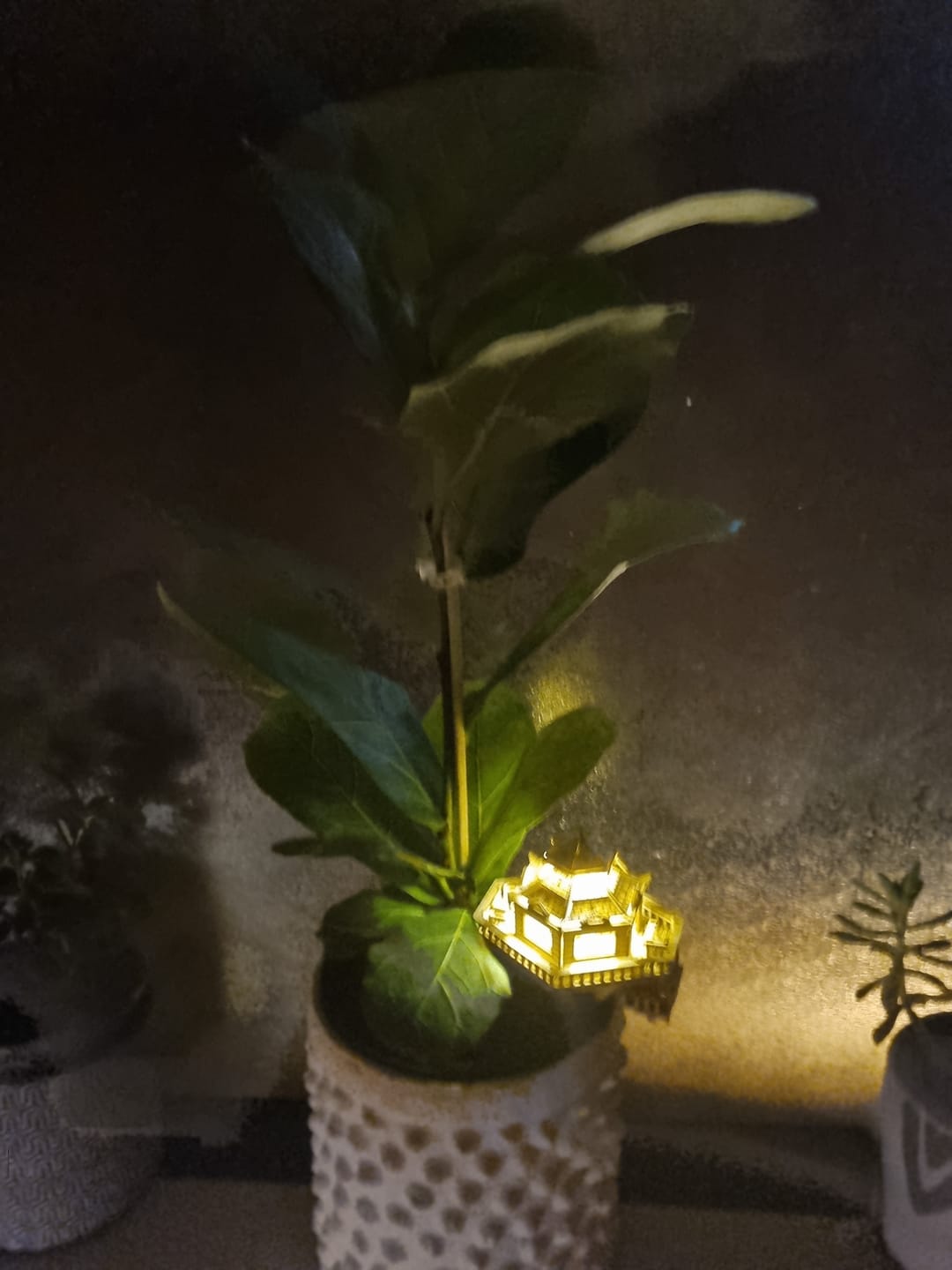 Customer photo review of Woodland Outpost