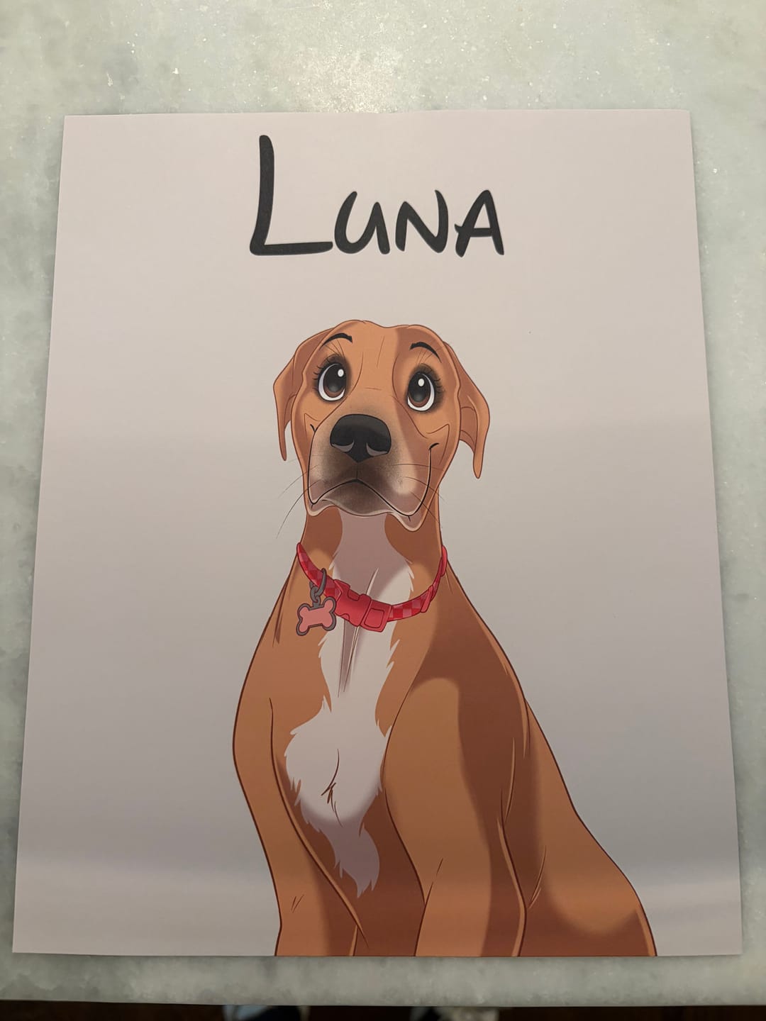 Customer photo review of Disneyfy Pet Cartoon Hand Drawn Portrait