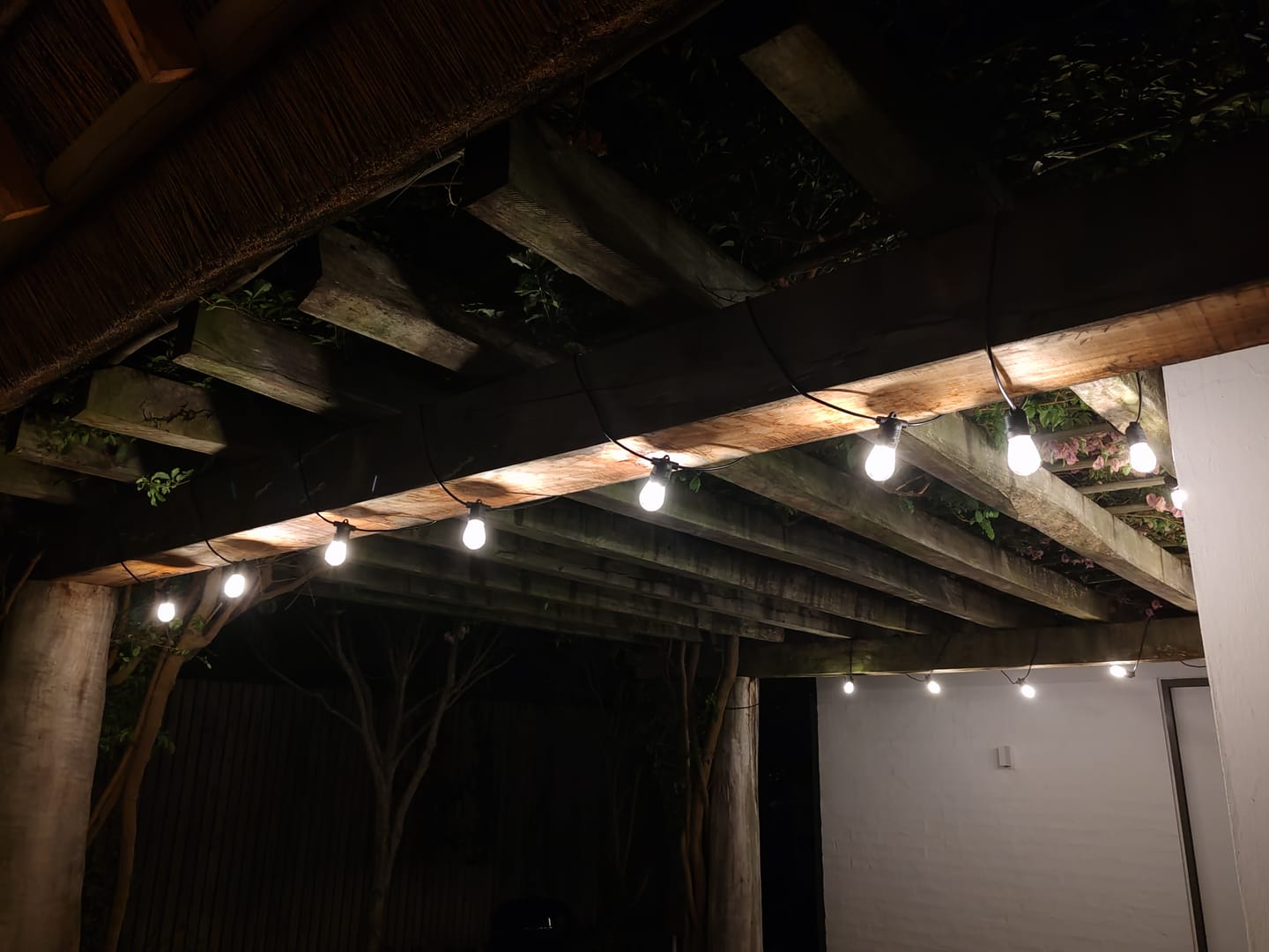 Customer photo review of Solar Festoon Bulb String Lights