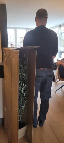 Customer photo review of Kunst Olijfboom 210cm