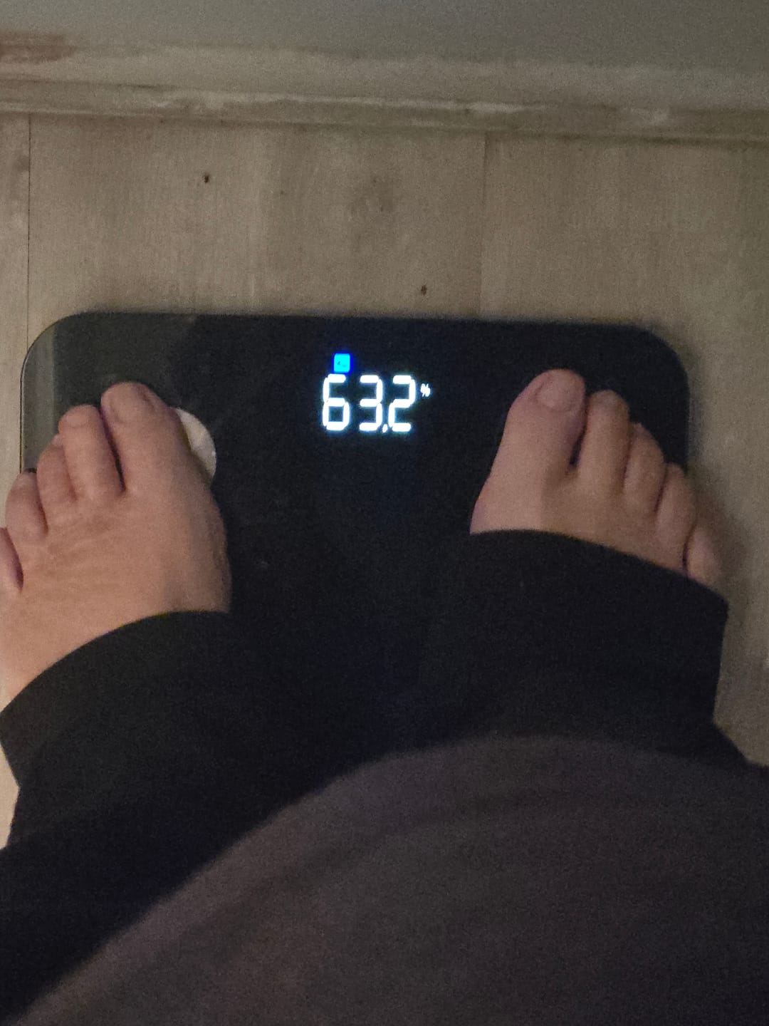 Customer photo review of RunStar 4E Body Scale