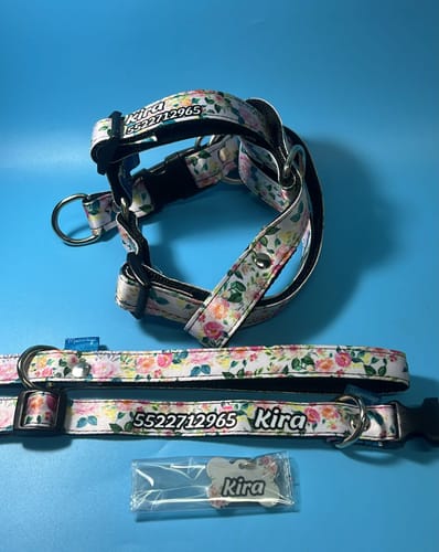 Customer photo review of Pechera: Rosas