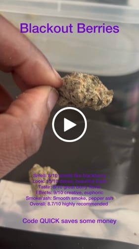 Customer video review of Platform Purple