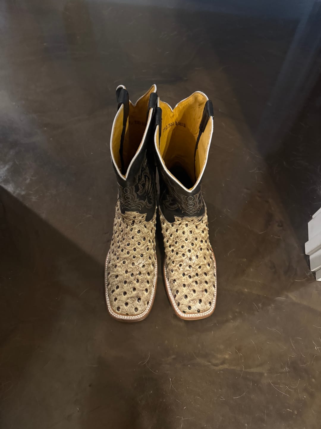 Customer photo review of Cowboy Boot Ostrich Desert