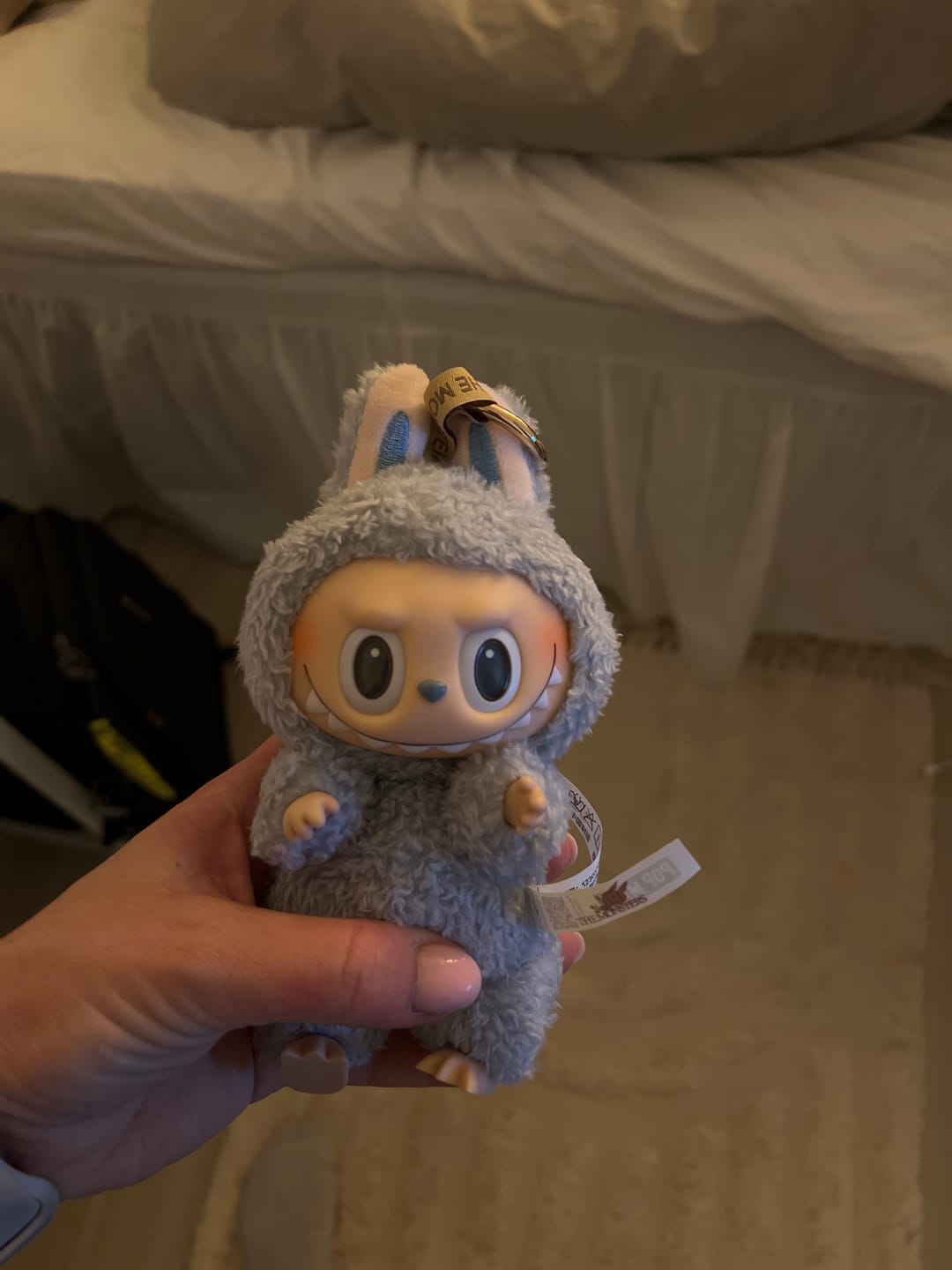 Customer photo review of Labubu The Monsters Exciting Macaron Series Blind Box