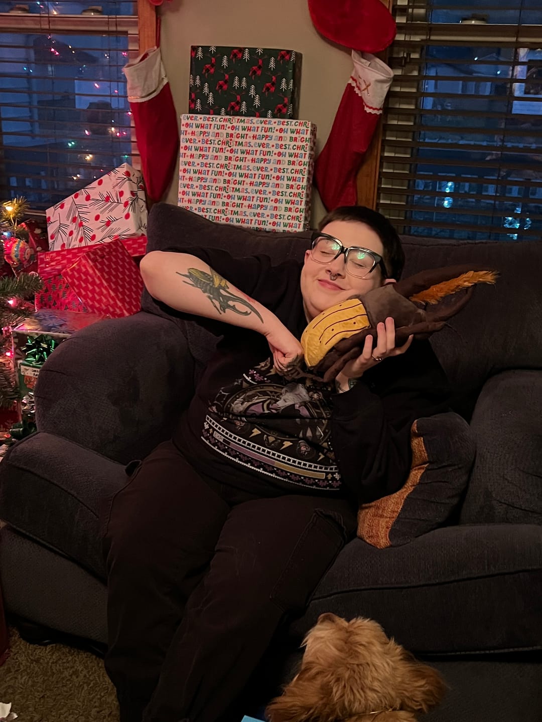 Customer photo review of Hercules Beetles Soft Stuffed Plush Toy