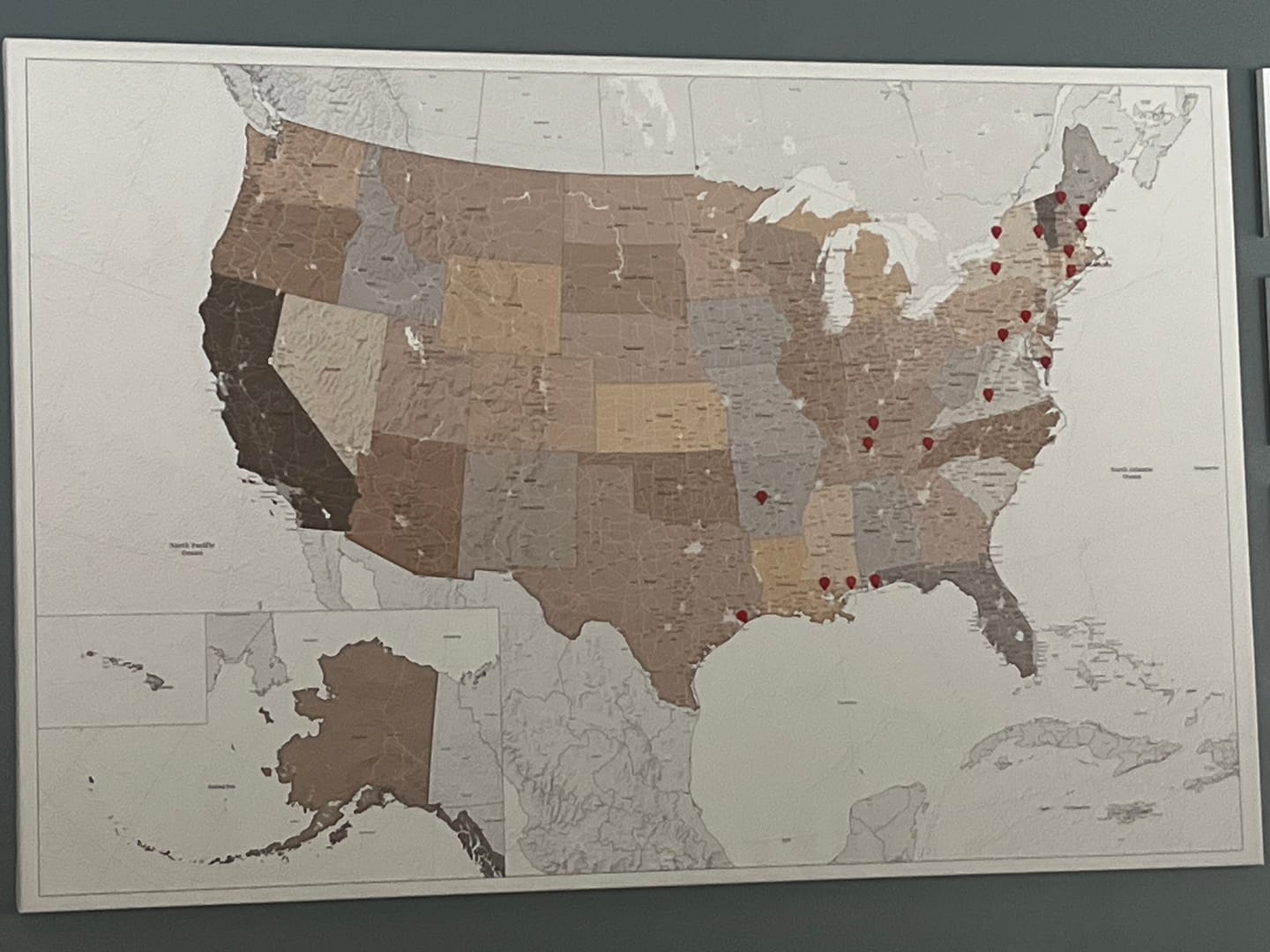 Customer photo review of Smart Pin World Map - Safari