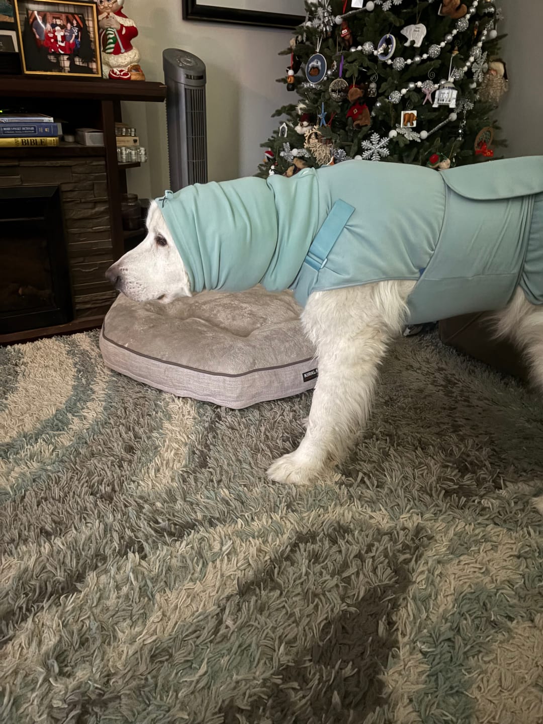Customer photo review of Anxiety Calming Suit