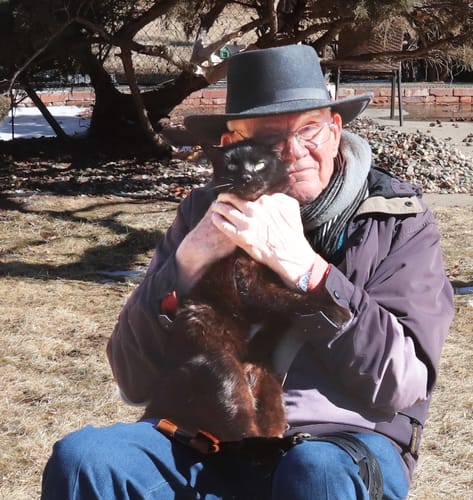 Customer photo review of 4x Blisso Advanced Cat Probiotic | Cat Probiotic for Diarrhea & Kidney Support