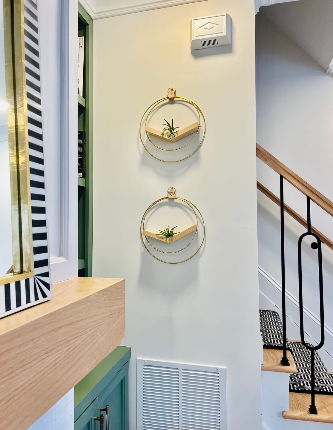 Customer photo review of Air Plant V-Hanger Trio