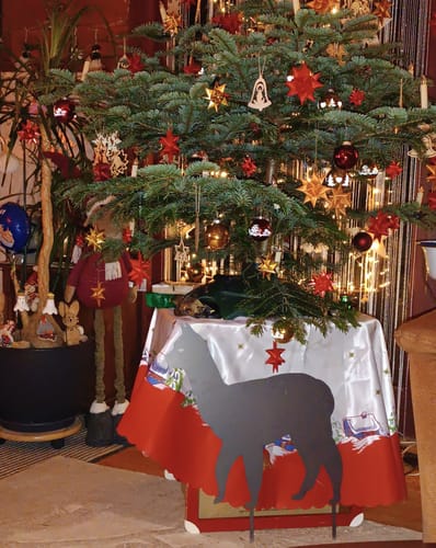 Customer photo review of Gartenstecker Alpaka