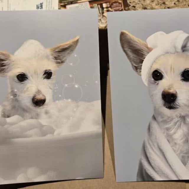 Customer photo review of Custom Dog Portrait for Bathroom