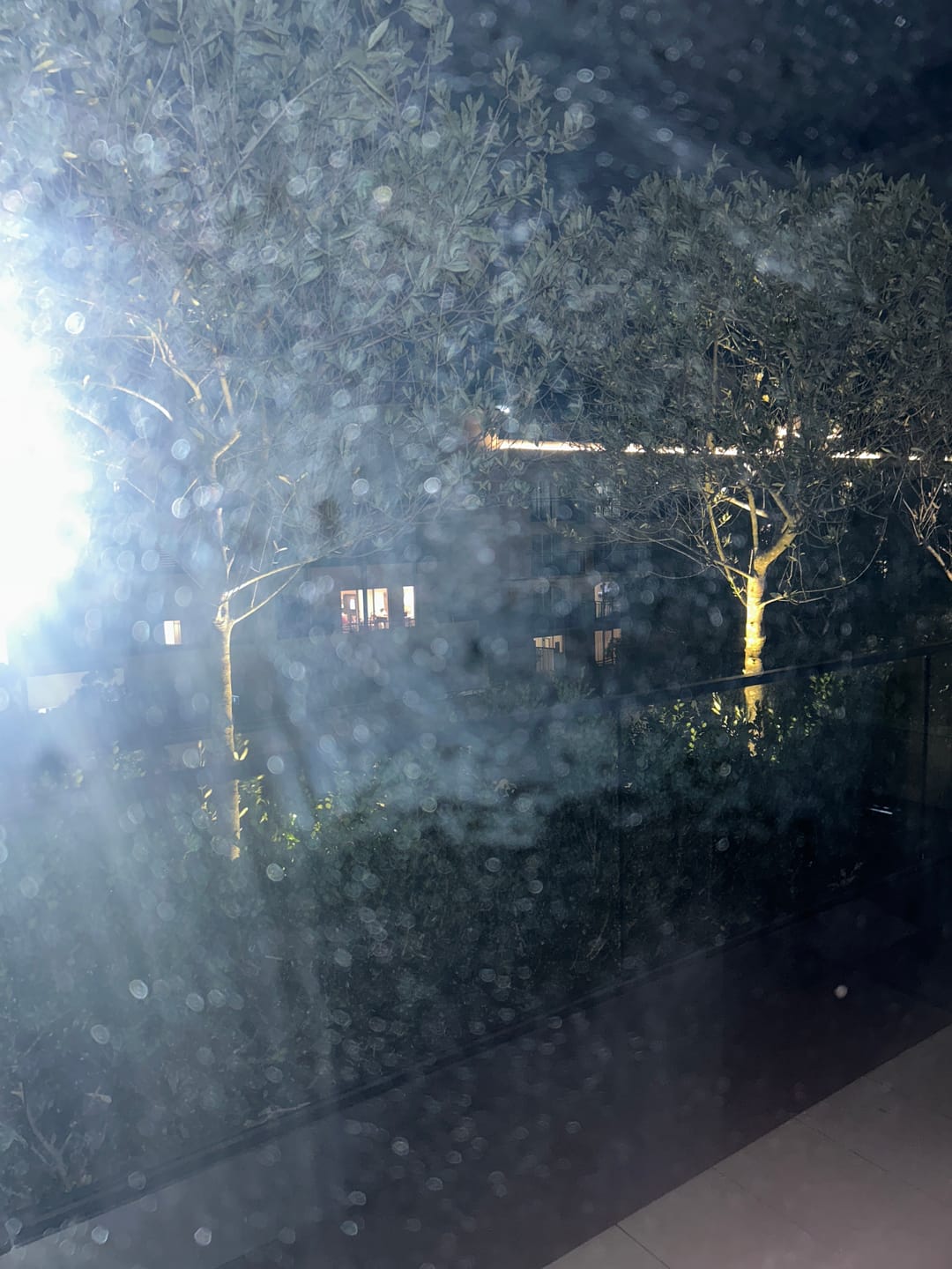 Customer photo review of Solar Ground Spotlights