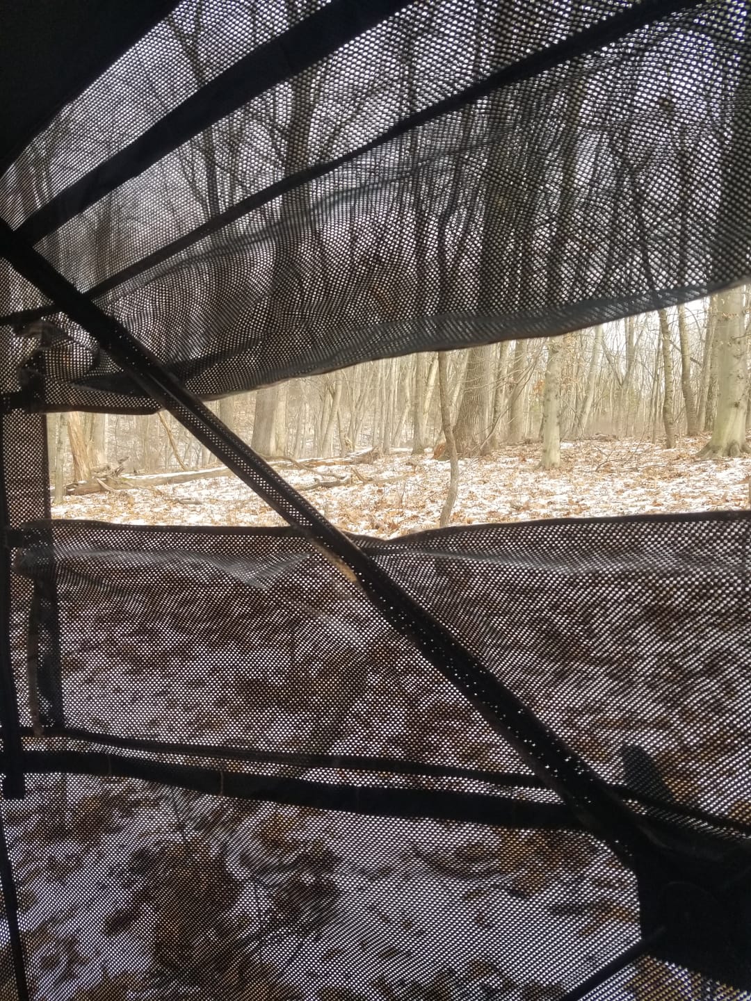 Customer photo review of FLASH SALE VisX/VisMax See Through Hunting Blind, Pop Up Ground Deer Blind