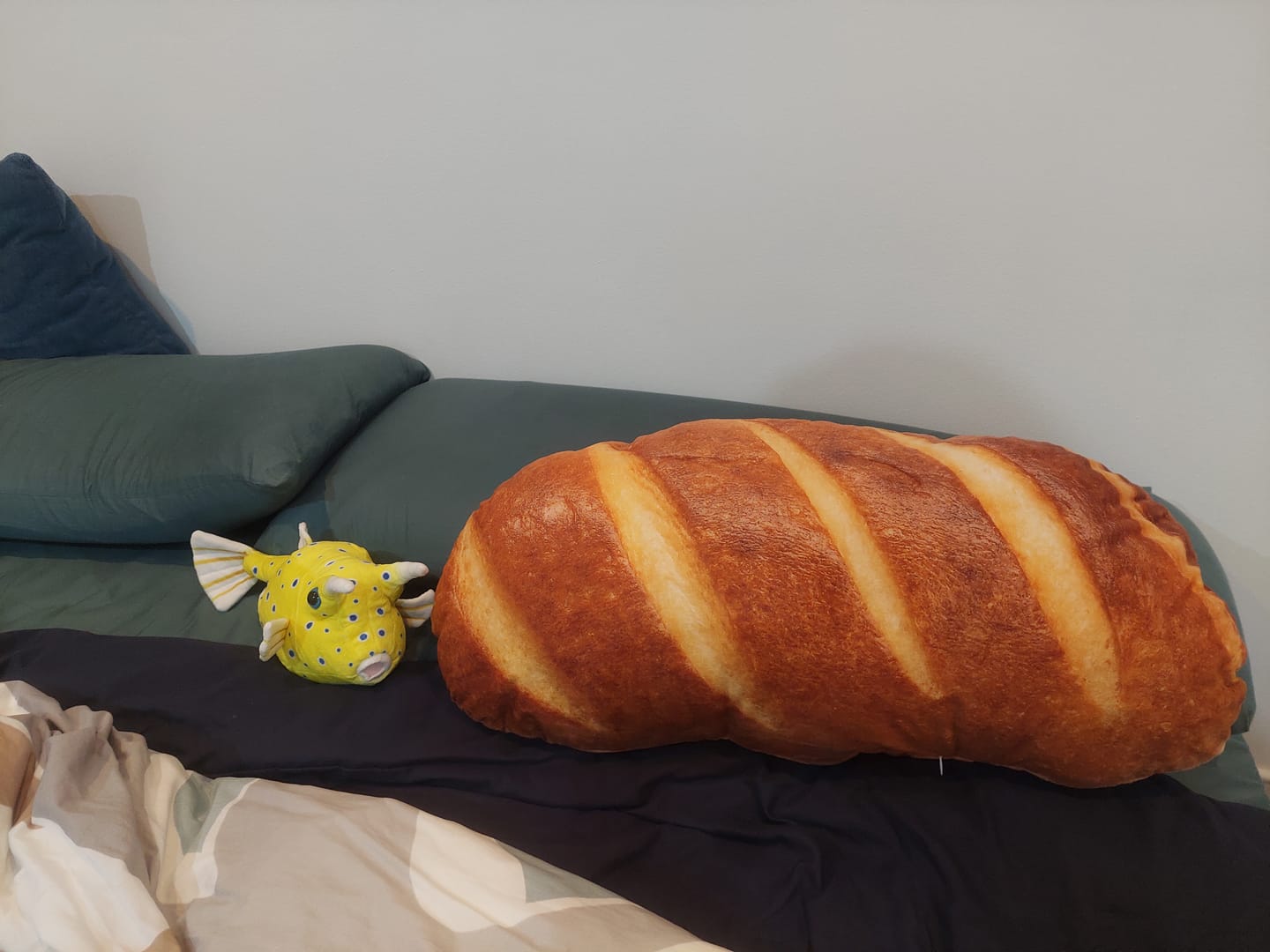 Customer photo review of Longhorn Cowfish Soft Stuffed Plush Toy
